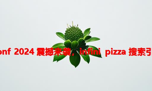 Rust China Conf 2024 震撼来袭，INFINI Pizza 搜索引擎重磅亮相！